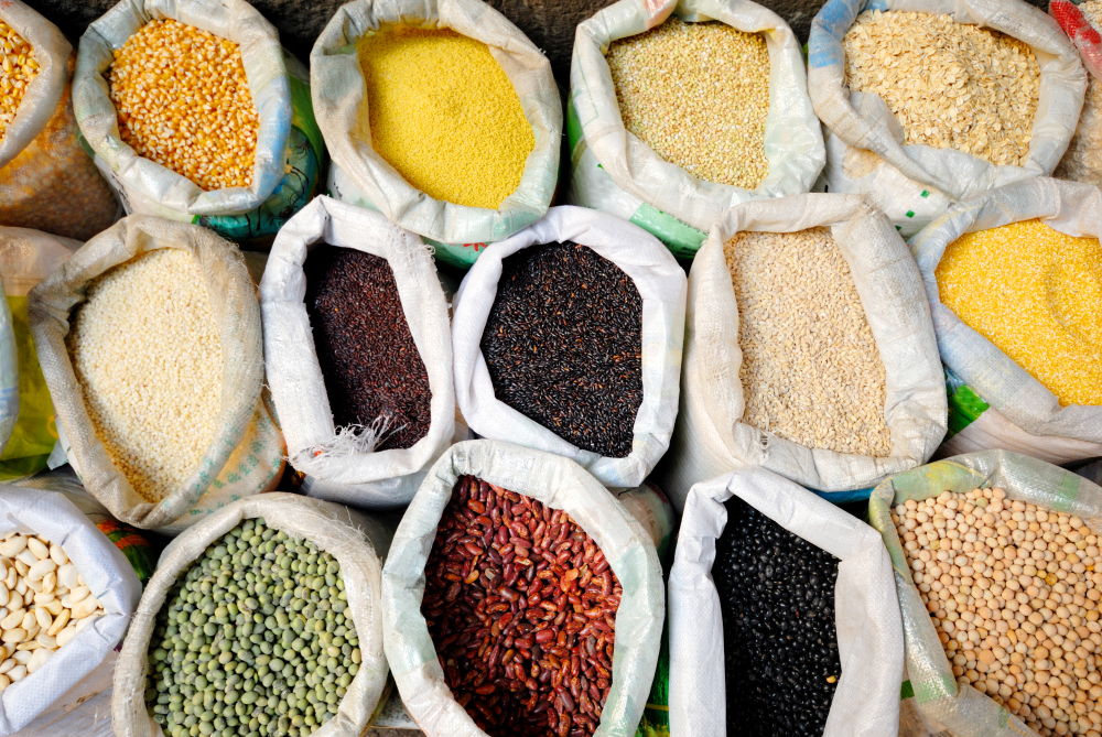 Rice, lentils, chickpeas and pulses for wholesale distribution from Dubai